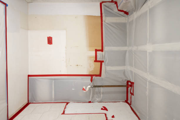 Best Environmental Consulting for Mold Prevention  in South Hempstead, NY