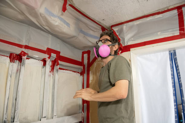 Best Mold Damage Restoration  in South Hempstead, NY