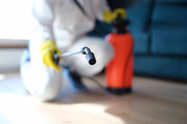 Best Airborne Mold Testing  in South Hempstead, NY