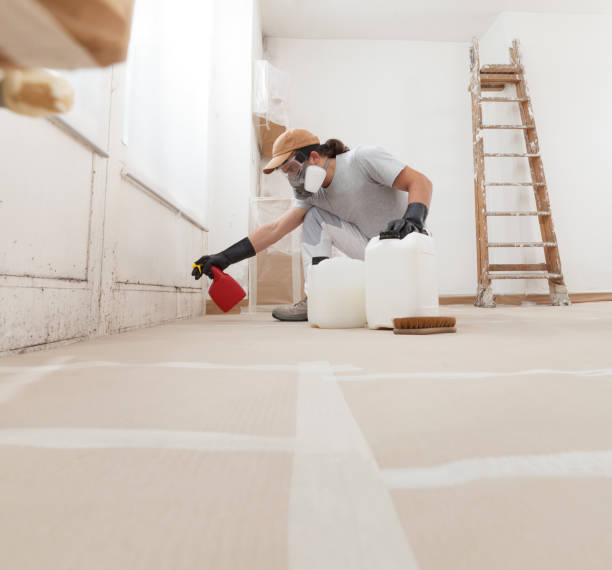 Best Biohazard Mold Removal  in South Hempstead, NY