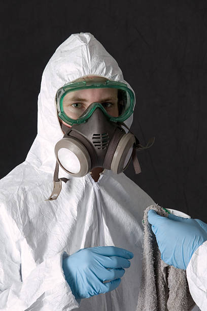 Best Mold Remediation for Healthcare Facilities  in South Hempstead, NY
